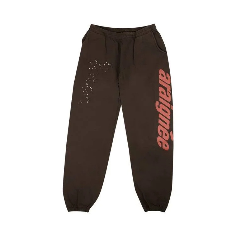 Pantalon Deportivo Sp5der Araignee Marrones | HT1083592