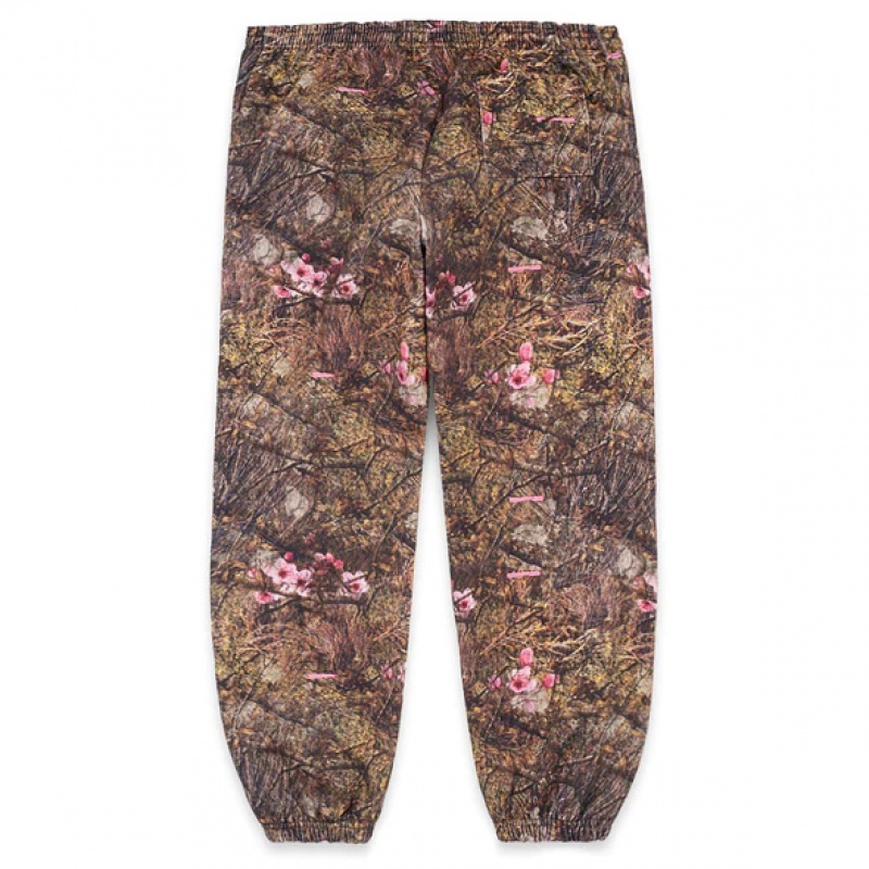 Pantalon Deportivo Sp5der OG WEB Real Tree | VS9658231