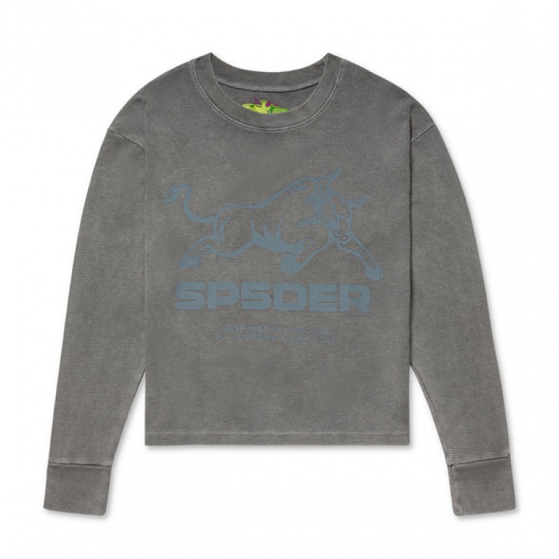 Sudadera Sp5der BULL THERMAL LS Gris | NE3562148
