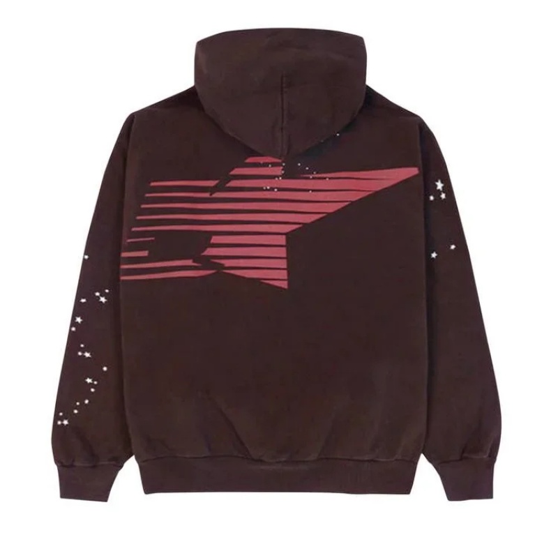 Sudadera con Capucha Sp5der Araignee Marrones | HV4573069