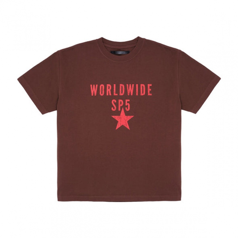 T Shirt Sp5der Oversized Worldwide Marrones | LK6839240